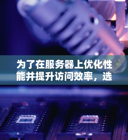 为了在服务器上优化性能并提升访问效率，选择合适的加速器是一个关键步骤。以下是详细的步骤指南