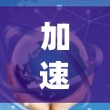 加速器高速传输线路是通过优化加速器的数量、位置、类型和配置，以及综合考虑网络架构来提高数据传输速度的网络系统。以下是该系统的主要特点和优势
