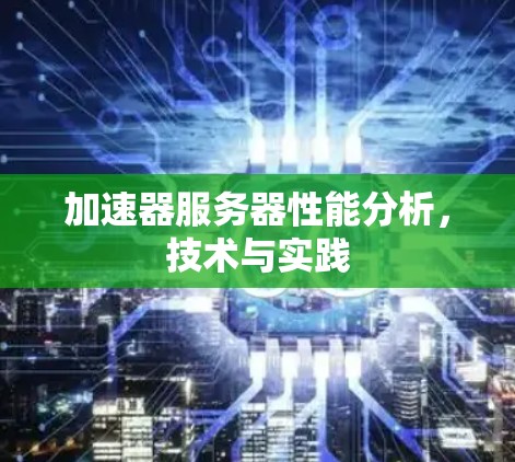 加速器服务器性能分析，技术与实践