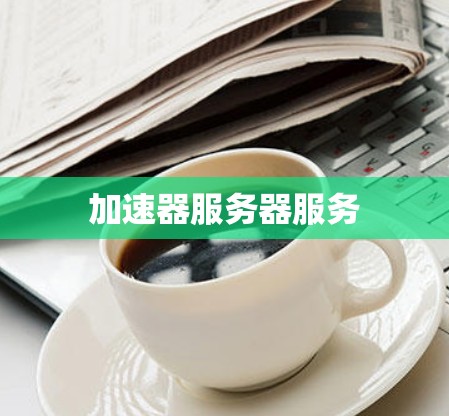 加速器服务器服务 加速器服务器服务