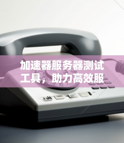 加速器服务器测试工具,助力高效服务器优化 加速器服务器测试工具,助力高效服务器优化