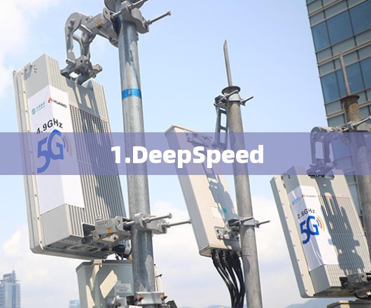 1.DeepSpeed 1.DeepSpeed