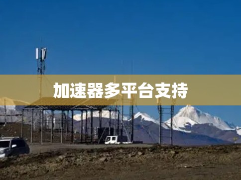 加速器多平台支持