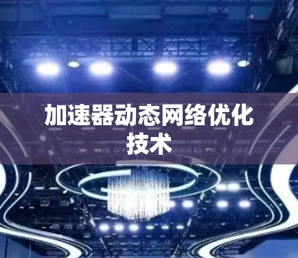 加速器动态网络优化技术 加速器动态网络优化技术