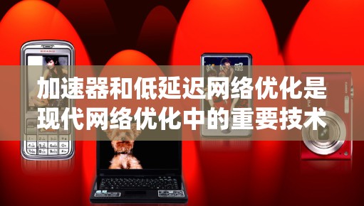 加速器和低延迟网络优化是现代网络优化中的重要技术,它们在提升网络性能和效率方面发挥着关键作用。以下是对这两个概念的系统梳理 加速器和低延迟网络优化是现代网络优化中的重要技术,它们在提升网络性能和效率方面发挥着关键作用。以下是对这两个概念的系统梳理
