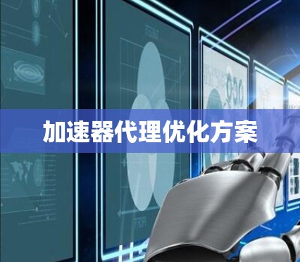 加速器代理优化方案