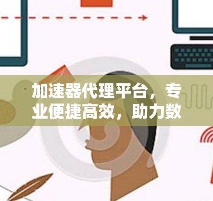 加速器代理平台，专业便捷高效，助力数据加速与网络流畅