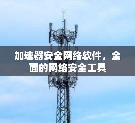 加速器安全网络软件,全面的网络安全工具 加速器安全网络软件,全面的网络安全工具