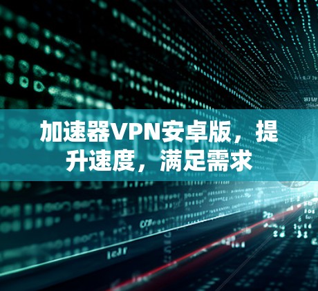 加速器VPN安卓版，提升速度，满足需求