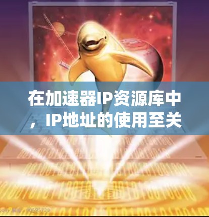 在加速器IP资源库中，IP地址的使用至关重要，以下是系统化的指南