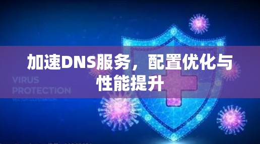 加速DNS服务,配置优化与性能提升 加速DNS服务,配置优化与性能提升