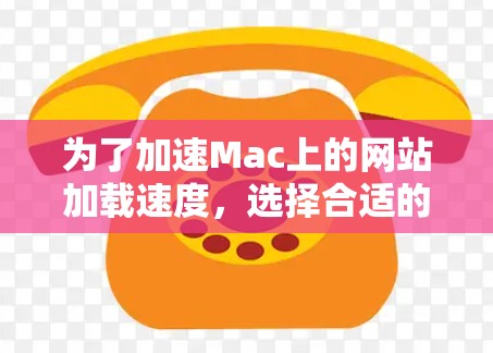 为了加速Mac上的网站加载速度，选择合适的加速器和缓存优化工具是关键。以下是一些推荐的步骤和工具