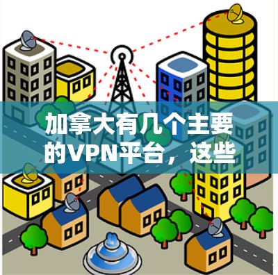 加拿大有几个主要的VPN平台,这些平台根据目标用户和设备类型有所不同。以下是一些常见的平台及其特点 加拿大有几个主要的VPN平台,这些平台根据目标用户和设备类型有所不同。以下是一些常见的平台及其特点