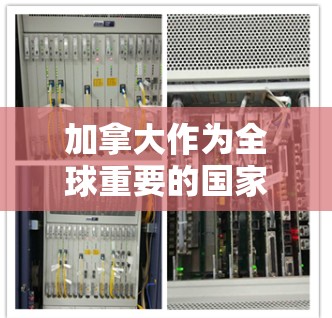 加拿大作为全球重要的国家之一，其网络安全法规在推动VPN应用时起到了关键作用。以下是对加拿大VPN客户端情况的详细分析