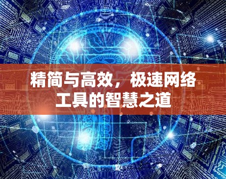 精简与高效，极速网络工具的智慧之道