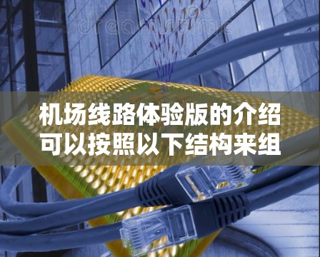 机场线路体验版的介绍可以按照以下结构来组织内容,确保逻辑清晰、重点突出 机场线路体验版的介绍可以按照以下结构来组织内容,确保逻辑清晰、重点突出