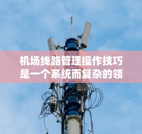 机场线路管理操作技巧是一个系统而复杂的领域,涉及多个方面,从日常的日常操作到高级的自动化管理,都要求 meticulous的规划和执行。以下是对该领域的详细分析和操作技巧总结 机场线路管理操作技巧是一个系统而复杂的领域,涉及多个方面,从日常的日常操作到高级的自动化管理,都要求 meticulous的规划和执行。以下是对该领域的详细分析和操作技巧总结