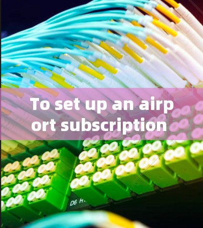 To set up an airport subscription for your flights,follow these organized steps: