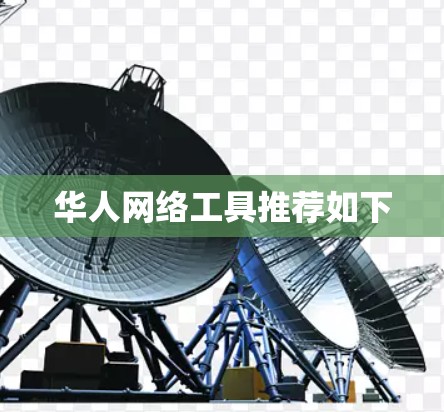 华人网络工具推荐如下