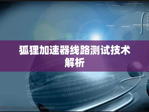 狐狸加速器线路测试技术解析