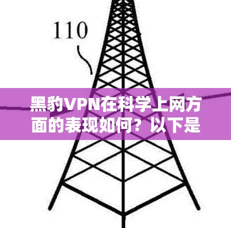 黑豹VPN在科学上网方面的表现如何？以下是对该公司的详细总结，涵盖其核心特点、用户选择、问题、解决方案和总体评价