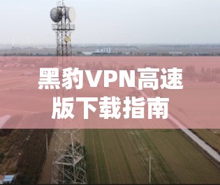 黑豹VPN高速版下载指南