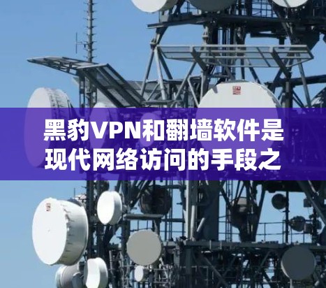 黑豹VPN和翻墙软件是现代网络访问的手段之一，通常用于访问外部网络。以下是对这些工具的详细分析