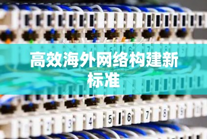 高效海外网络构建新标准 高效海外网络构建新标准