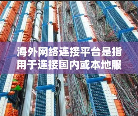 海外网络连接平台是指用于连接国内或本地服务器到海外服务器的软件或工具。以下是几种主要的平台及其特点