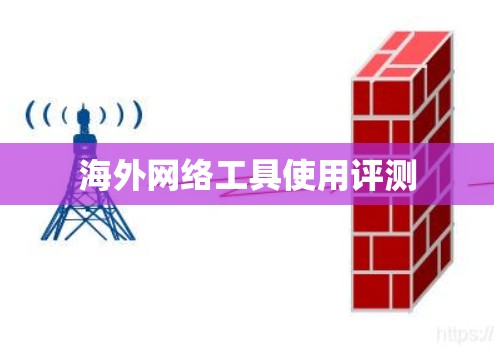 海外网络工具使用评测