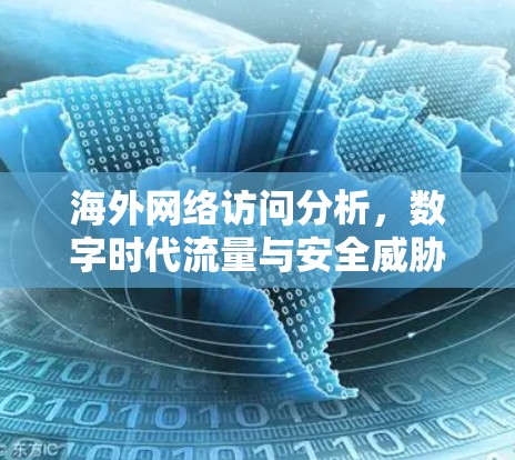 海外网络访问分析，数字时代流量与安全威胁