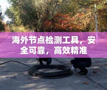 海外节点检测工具,安全可靠,高效精准 海外节点检测工具,安全可靠,高效精准
