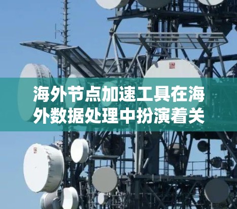 海外节点加速工具在海外数据处理中扮演着关键角色，能够显著提升数据处理效率。以下是对这些工具的系统性总结