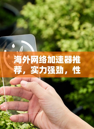 海外网络加速器推荐,实力强劲,性能超乎想象 海外网络加速器推荐,实力强劲,性能超乎想象