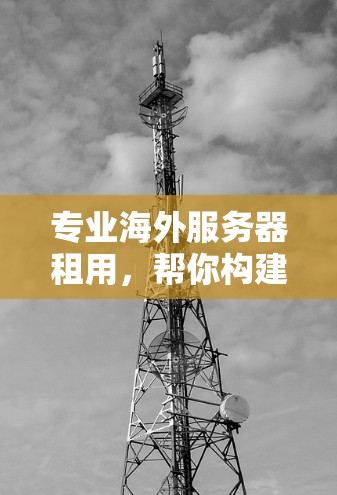专业海外服务器租用，帮你构建高效可靠的网络