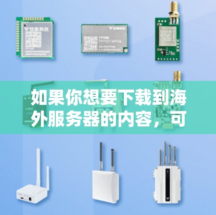 如果你想要下载到海外服务器的内容，可以考虑以下工具