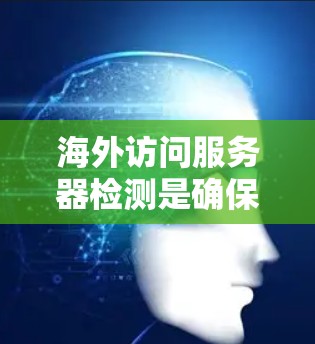 海外访问服务器检测是确保远程服务器安全的重要步骤，以下是对相关工具的详细总结