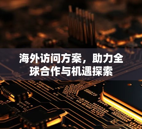 海外访问方案，助力全球合作与机遇探索