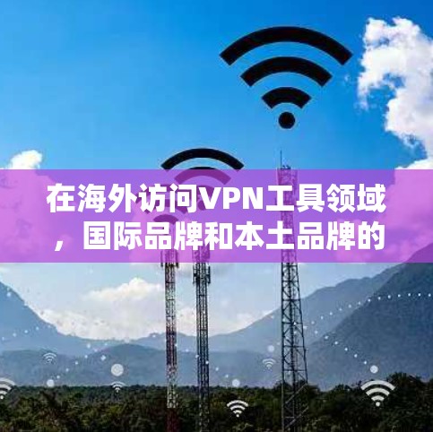 在海外访问VPN工具领域，国际品牌和本土品牌的竞争日益激烈，各国政府和企业对VPN的接受度也不断提高。以下是对国际品牌综合测试的分析，帮助您更好地了解国际品牌在海外访问VPN工具市场中的表现