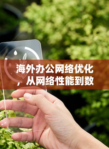 海外办公网络优化，从网络性能到数据安全，构建高效可靠的全球化网络