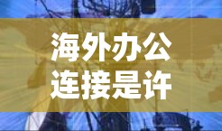 海外办公连接是许多人需要面对的问题，尤其是在全球范围内工作。以下是一些常见问题和解决方案，帮助你更好地理解和管理海外办公连接