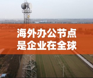 海外办公节点是企业在全球范围内进行远程办公的重要组成部分，旨在简化员工的工作和生活安排，特别是在应对疫情等重大挑战时。以下是对海外办公节点的详细分析