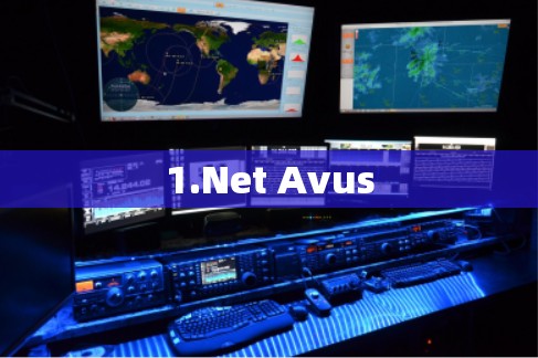 1.Net Avus 1.Net Avus