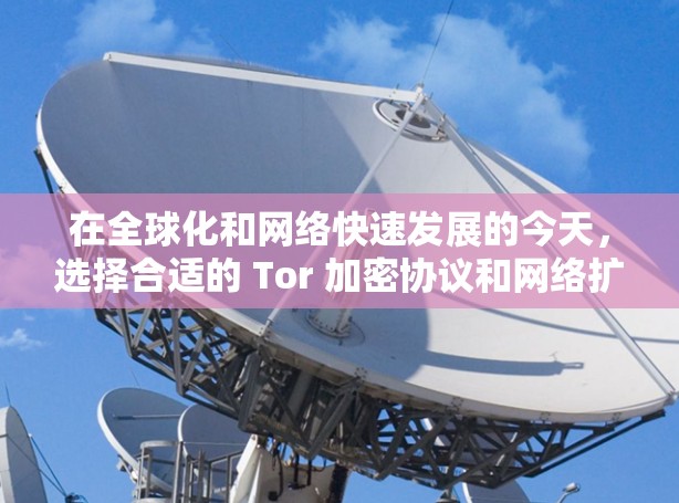 在全球化和网络快速发展的今天，选择合适的 Tor 加密协议和网络扩展策略对用户的安全至关重要。以下是对如何选择 Tor 加密协议和构建 Tor 加密网络的详细分析