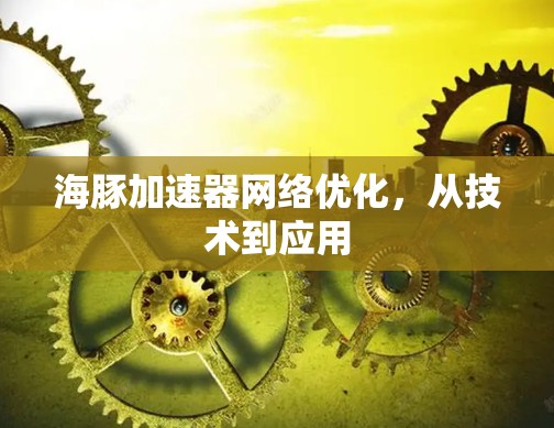 海豚加速器网络优化，从技术到应用