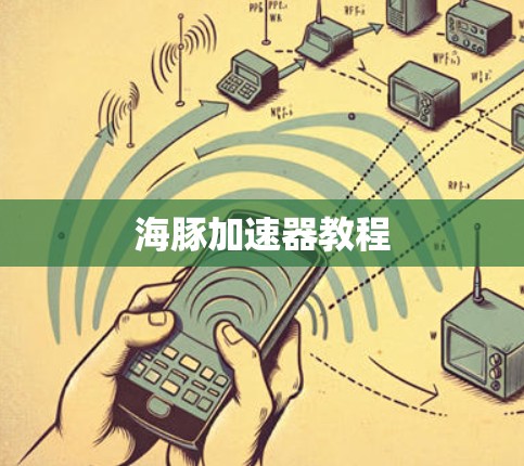 海豚加速器教程