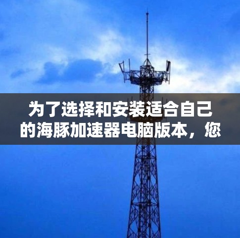 为了选择和安装适合自己的海豚加速器电脑版本，您可以按照以下步骤进行