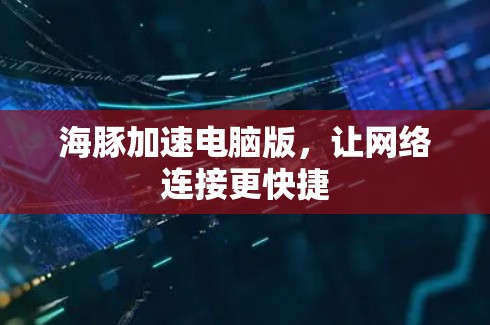 海豚加速电脑版，让网络连接更快捷