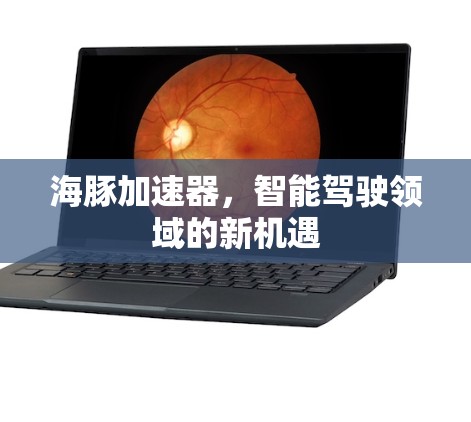 海豚加速器，智能驾驶领域的新机遇