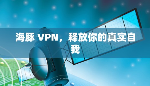 海豚 VPN，释放你的真实自我